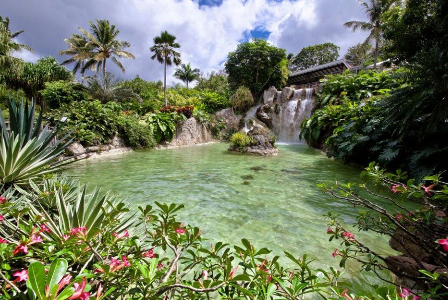 Jardin Botanique de Deshaies, Deshaies, Guadeloupe, France
